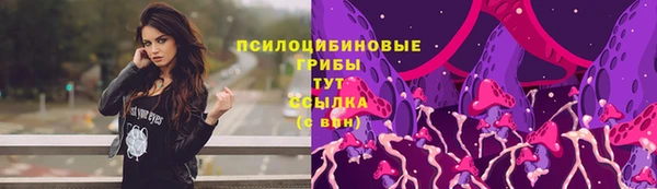экстази Алексин