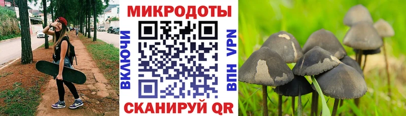 Галлюциногенные грибы MAGIC MUSHROOMS  МЕГА ссылки  Удачный  где продают  